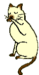 CICANEVELDE